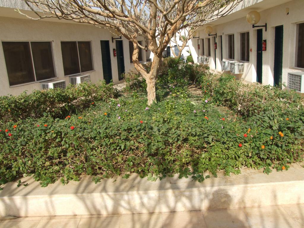 Nefertari Hotel Abu Simble Abu Simbel Exterior foto